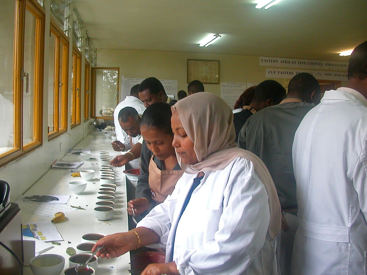 Proevers beoordelen monsters koffie aan een cuppingtafel in Ethiopie