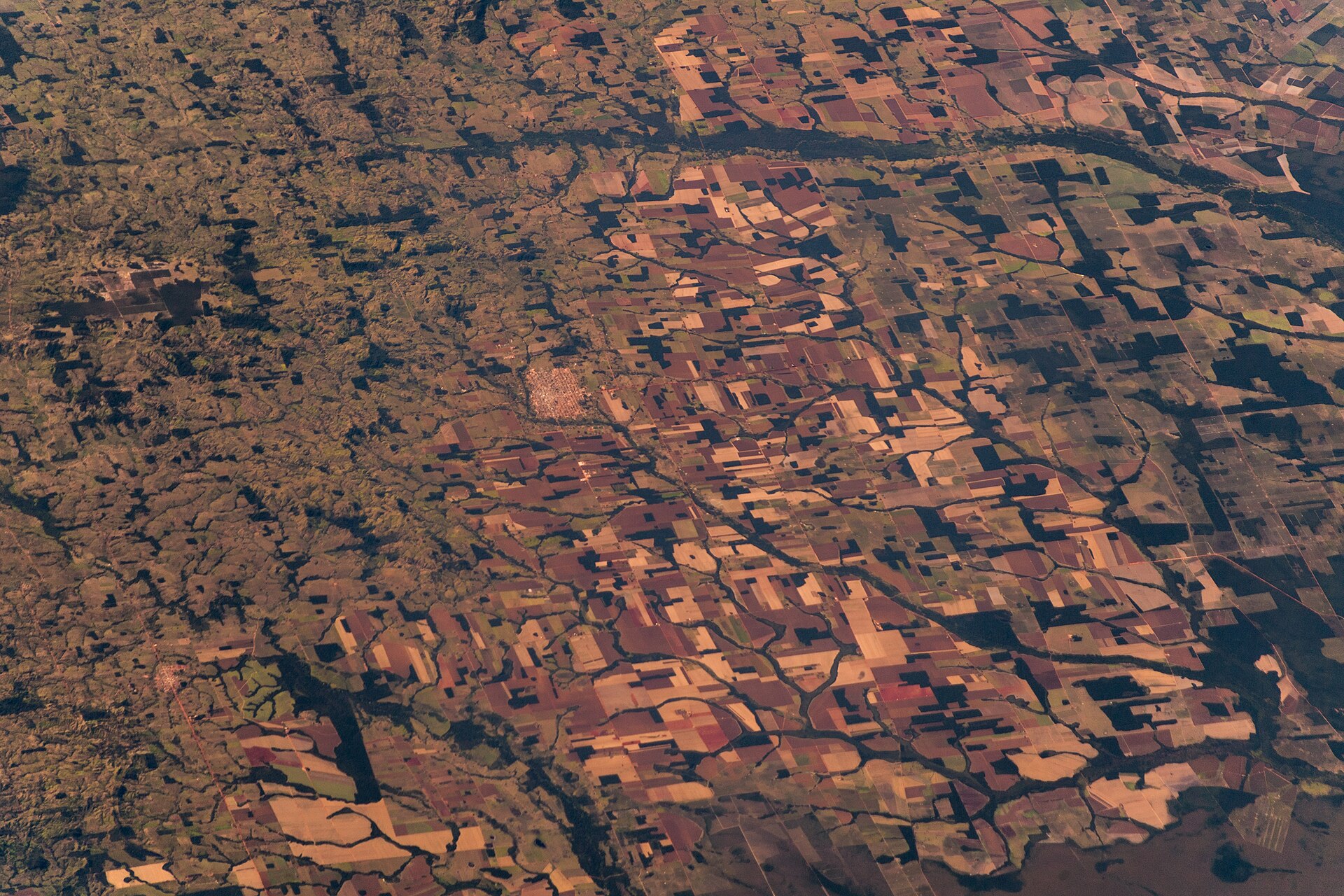 Satellietbeeld van regenwoud dat in rechte blokken is gekapt
