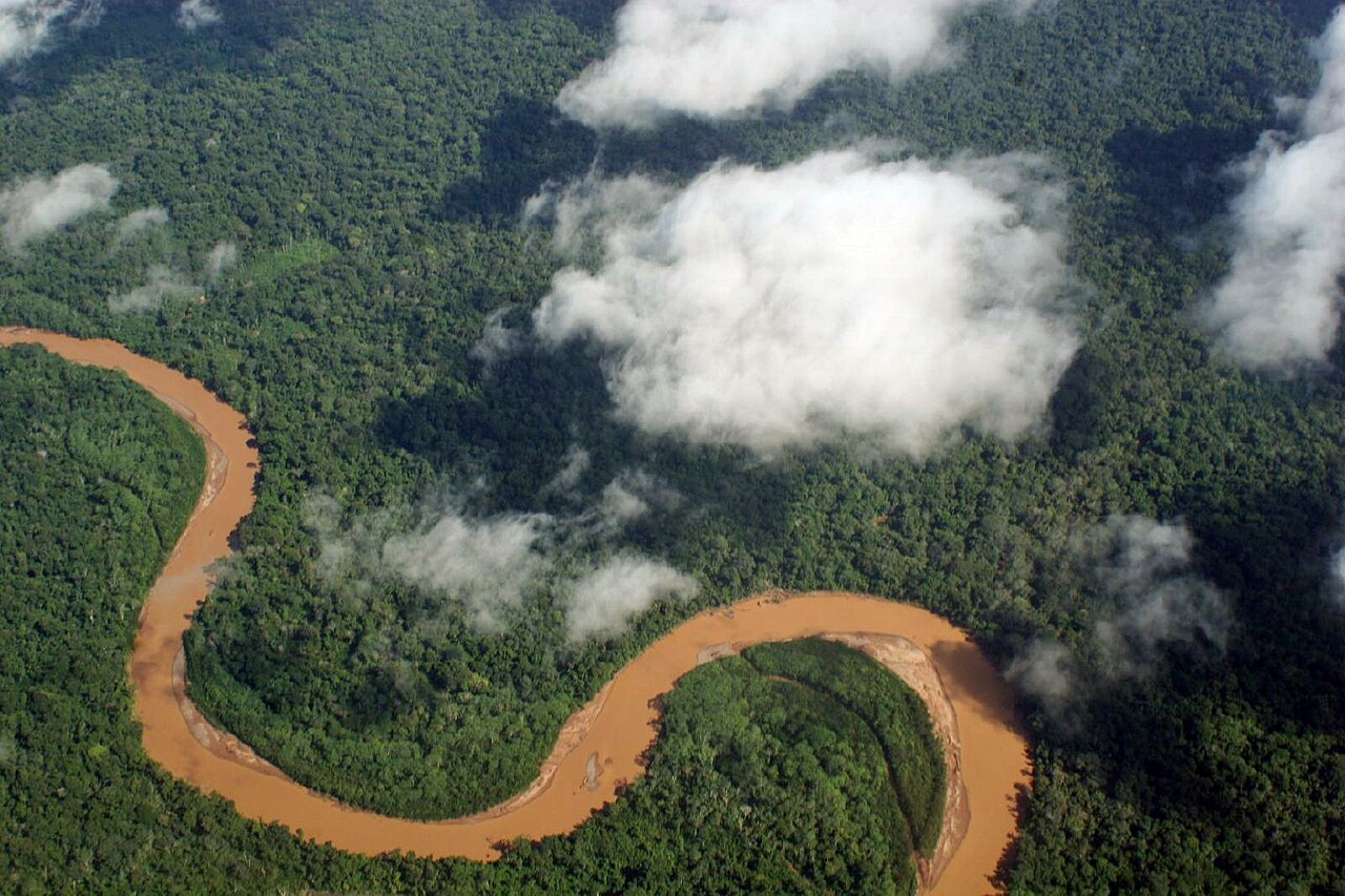 Ongerept regenwoud met een rivier, vanuit de lucht gezien